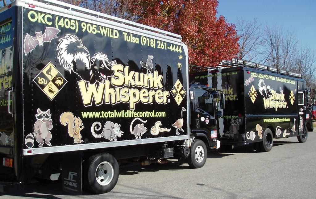 A Skunk Whisperer Wildlife & Pest Control Tulsa OK 74105 9182614444